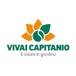 11.-Vivai-1-1-150x150